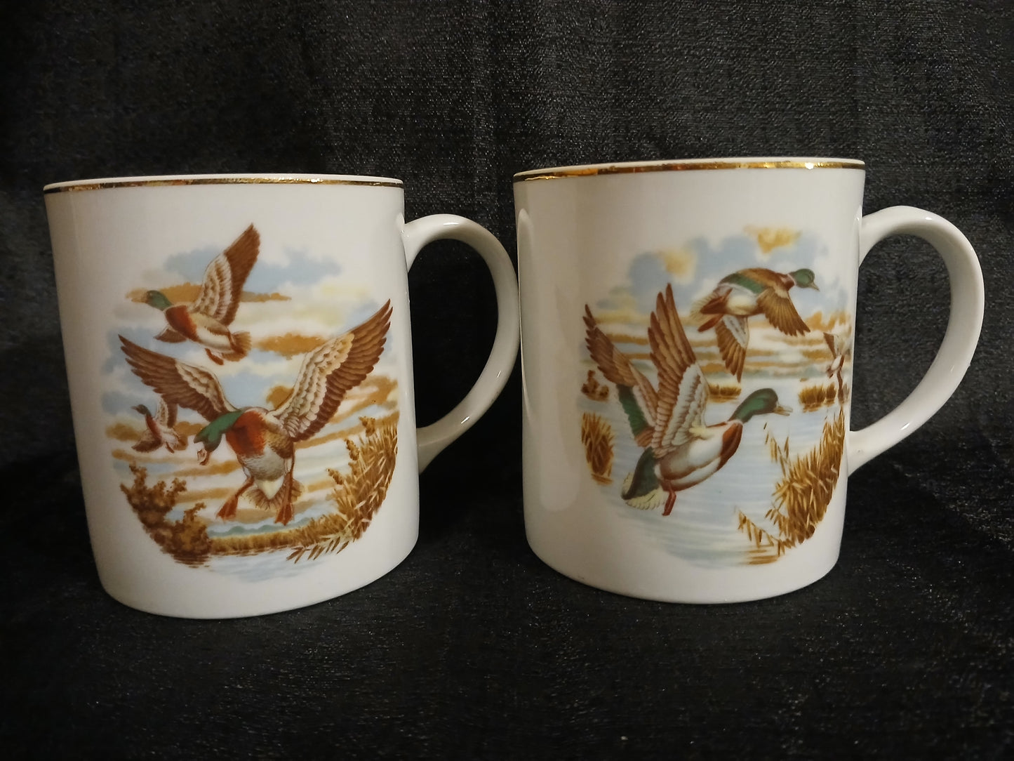 Mallard Duck Coffee Mug Set