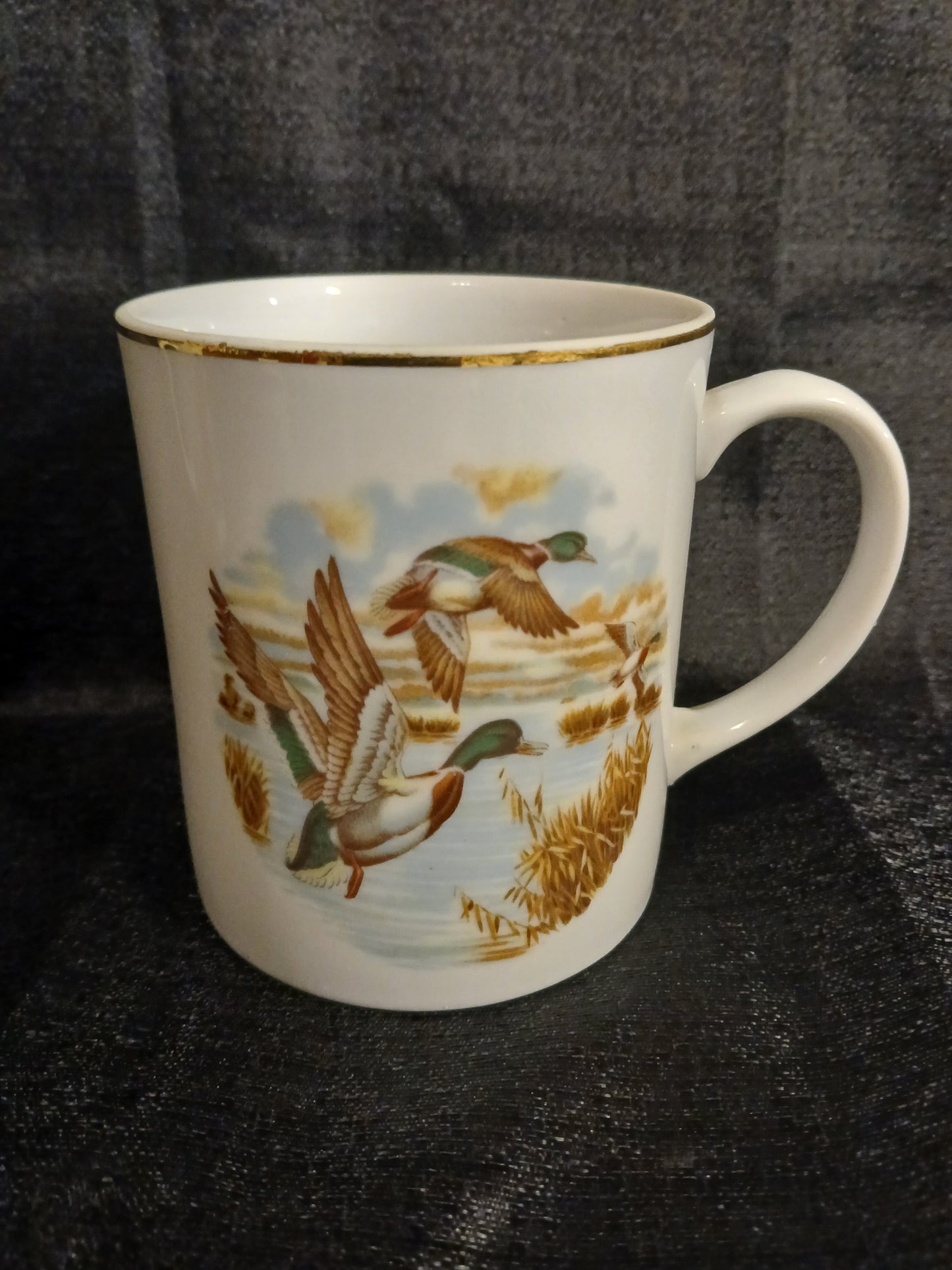 Mallard Duck Coffee Mug Set