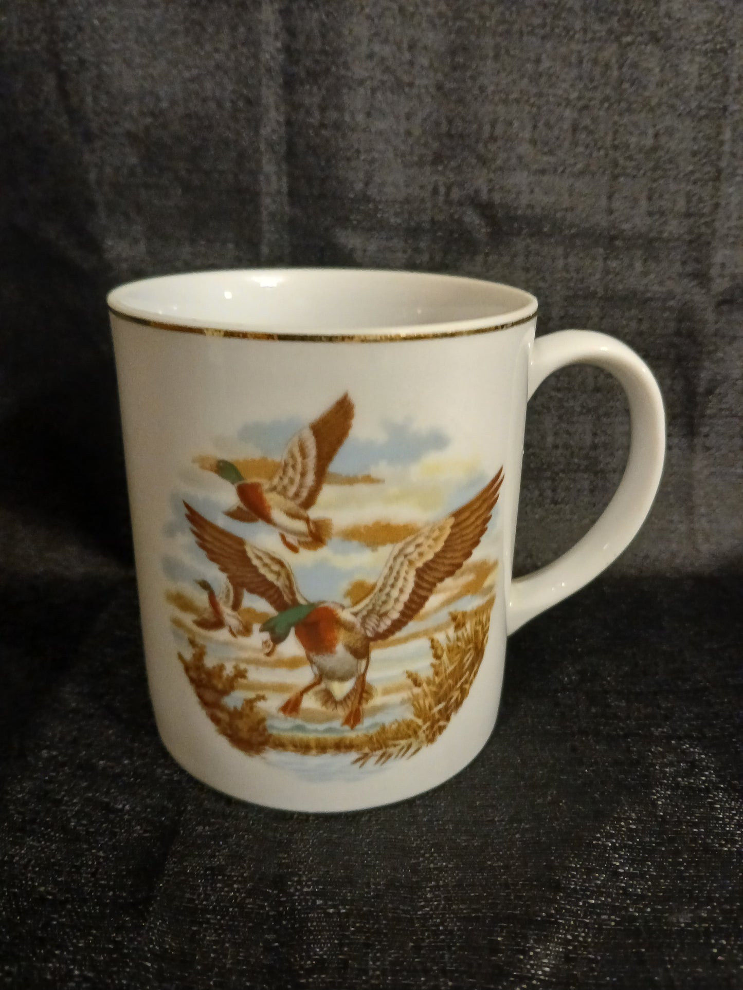 Mallard Duck Coffee Mug Set